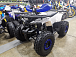 Квадроцикл PROMAX WILD 175 LUX в Владивостоке
