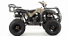 Квадроцикл MOTOLAND (МОТОЛЕНД) 200 ALL ROAD в Владивостоке