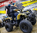 Квадроцикл PROMAX ATV 250 (2025) в Владивостоке