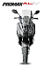 МаксиСкутер PROMAX-HONDA ADV 150 (49) EFI (Inspired by HONDA) в Владивостоке