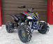 Квадроцикл PROMAX RAPTOR 300 NEW RedBull в Владивостоке
