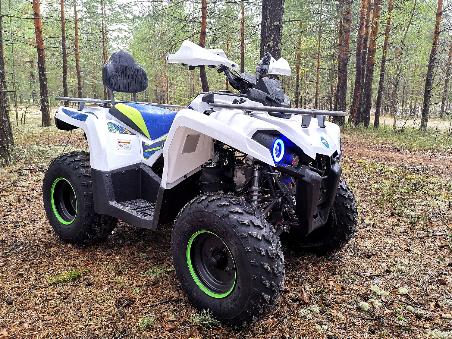 Квадроцикл PROMAX RENEGADE 280 (2025) в Владивостоке