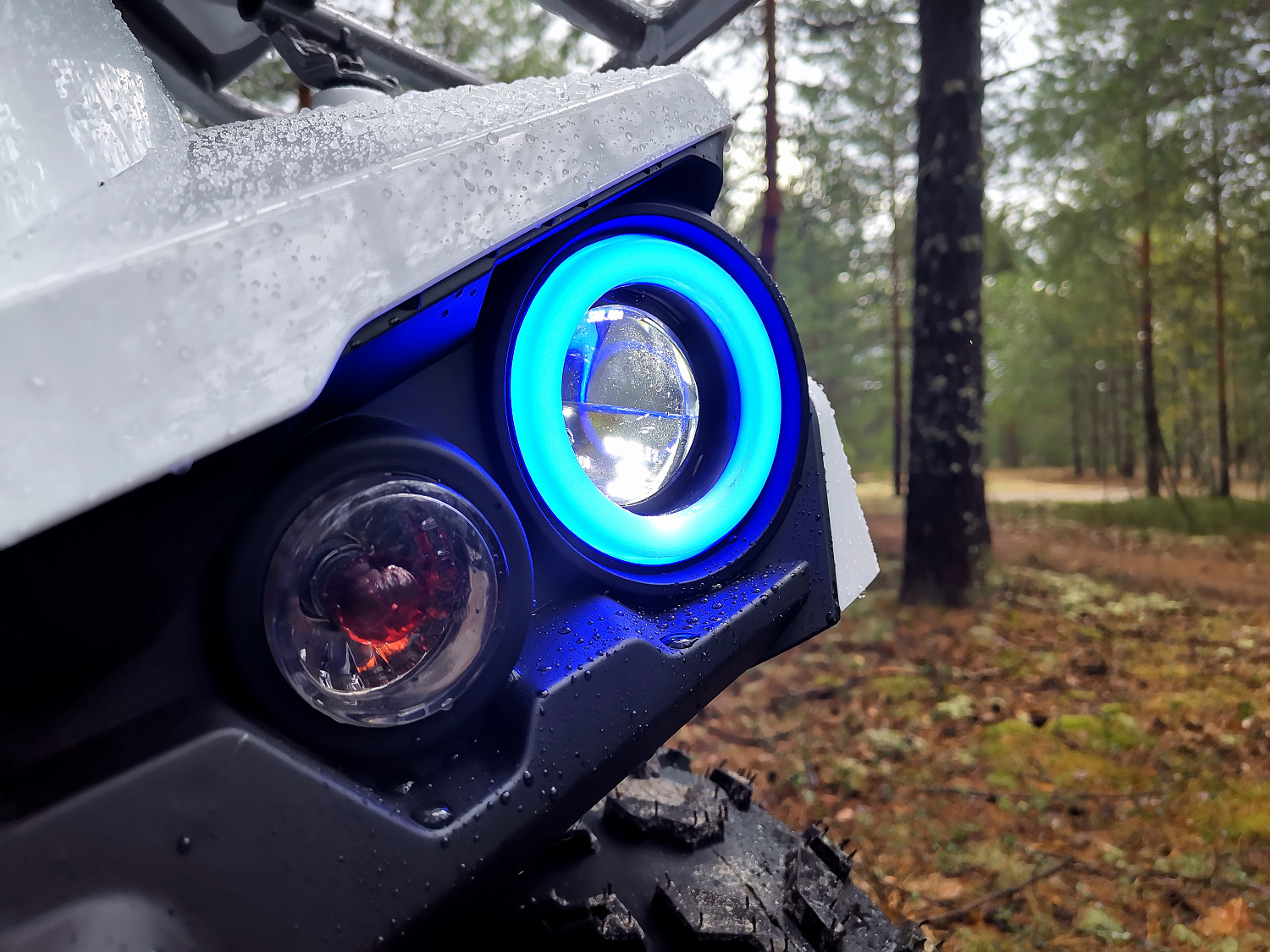 Квадроцикл PROMAX RENEGADE 280 (2025) в Владивостоке