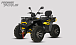 Квадроцикл PROMAX TAURUS 300 MAX-PRO LONG в Владивостоке