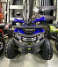Квадроцикл PROMAX WILD 2.0 190 PRO (2025) в Владивостоке
